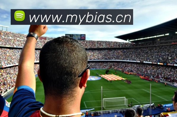 多媒体互动体验